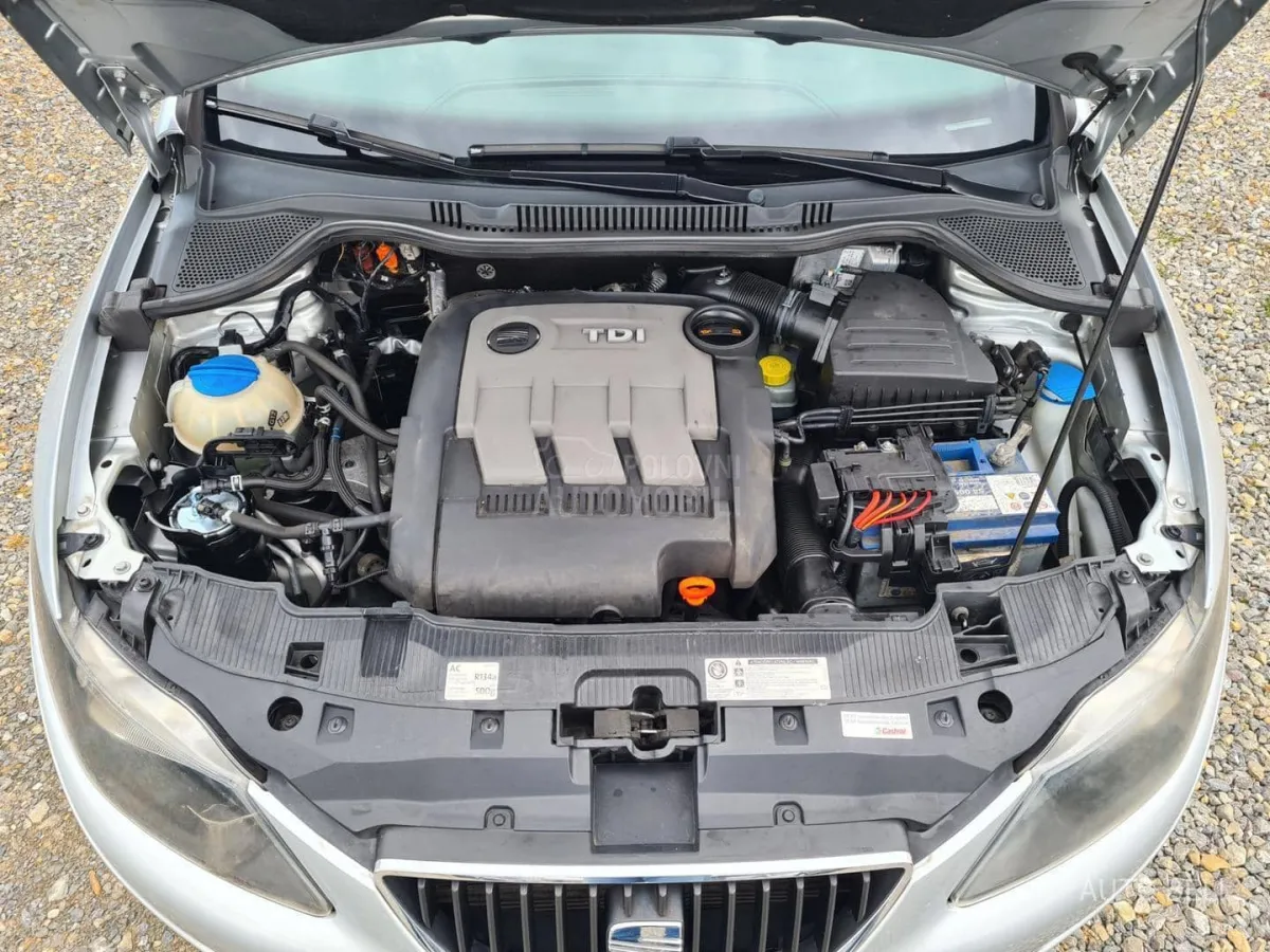 Seat Ibiza 1.2 tdi (2012) - slika 41